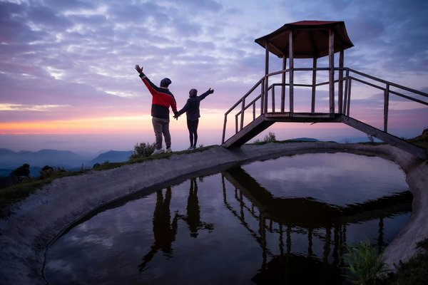 Où participer à une expédition pour observer les ours bruns en Alaska?
